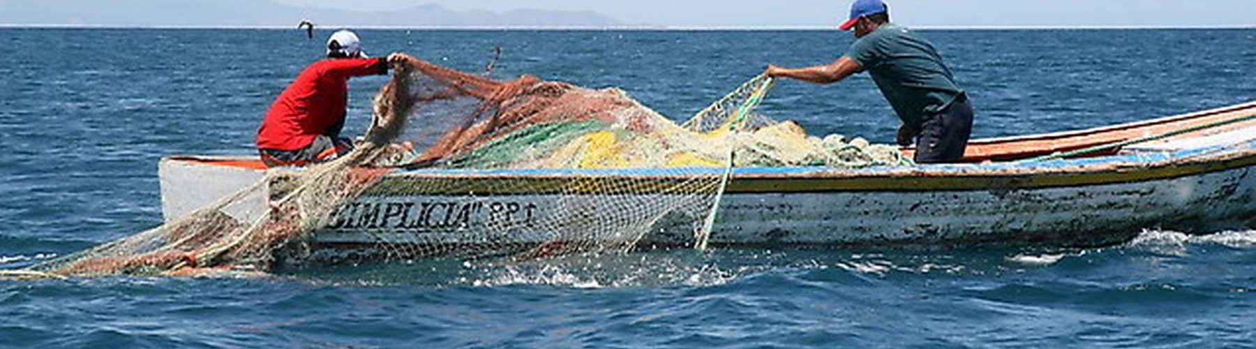 /media/files/ETPI/attachment/pesca04.jpg